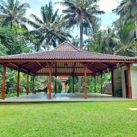 As I Am Ubud Retreat Exterior photo