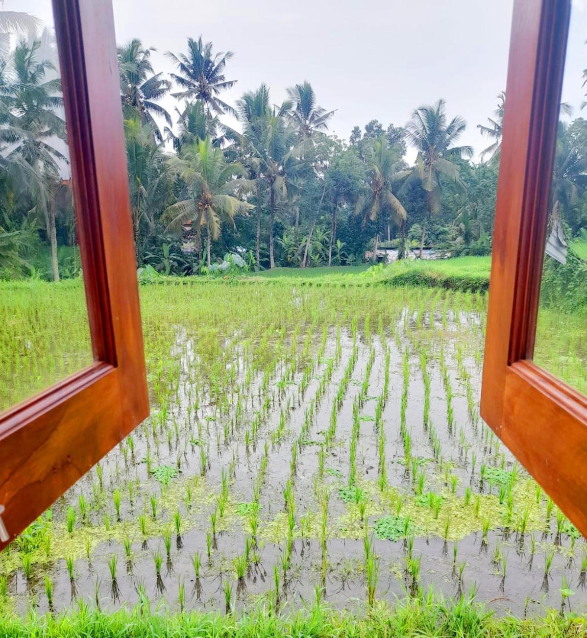 As I Am Ubud Retreat Room photo