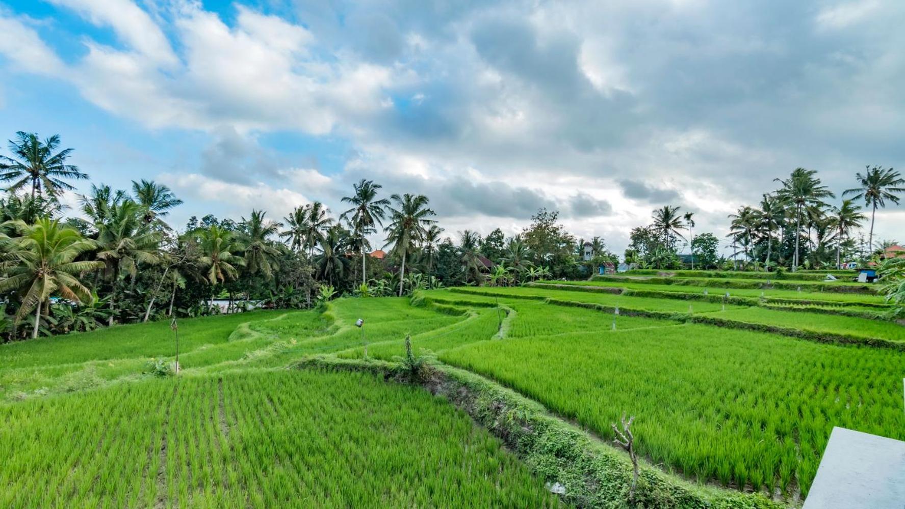 As I Am Ubud Retreat Exterior photo