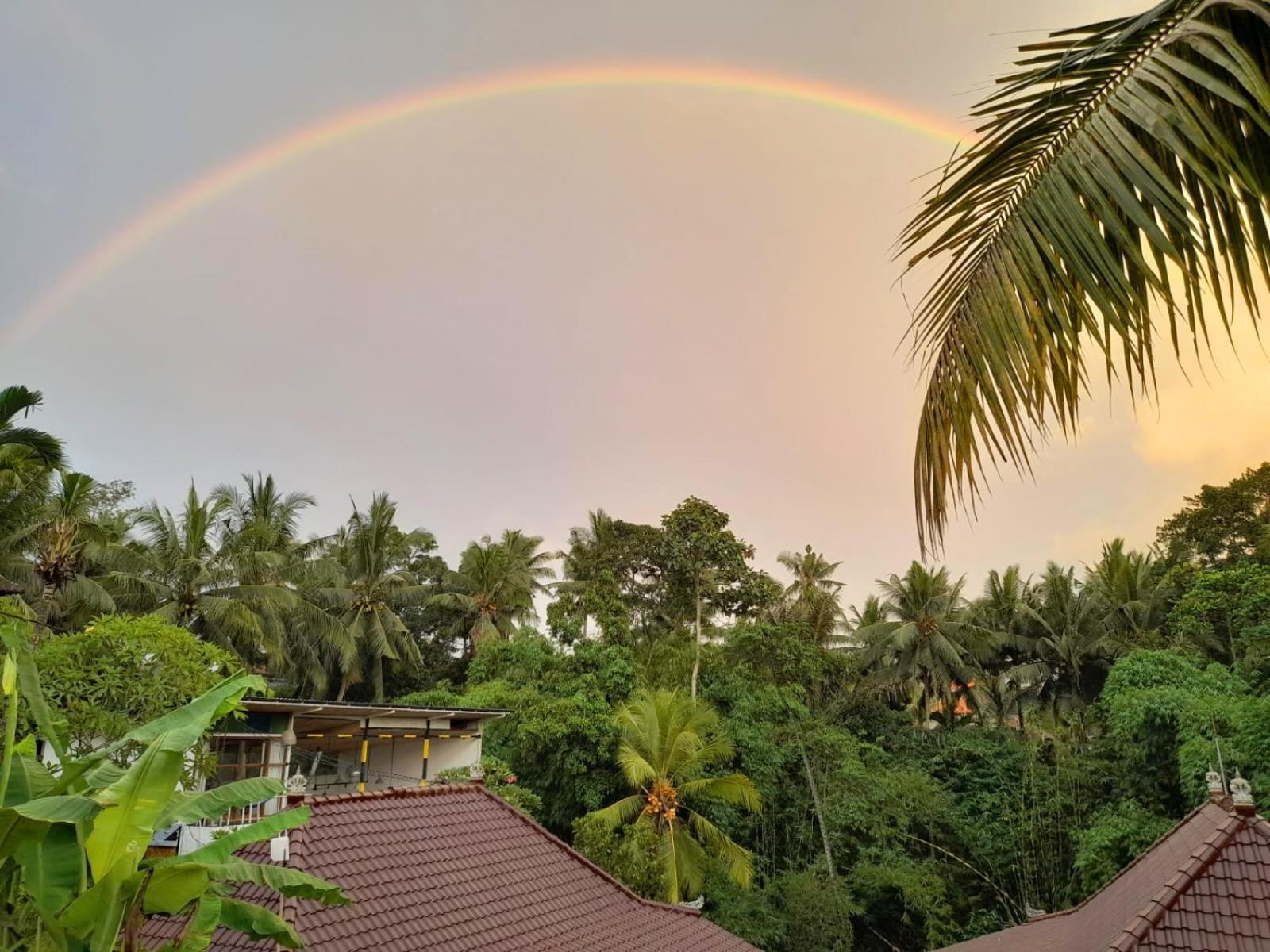 As I Am Ubud Retreat Exterior photo