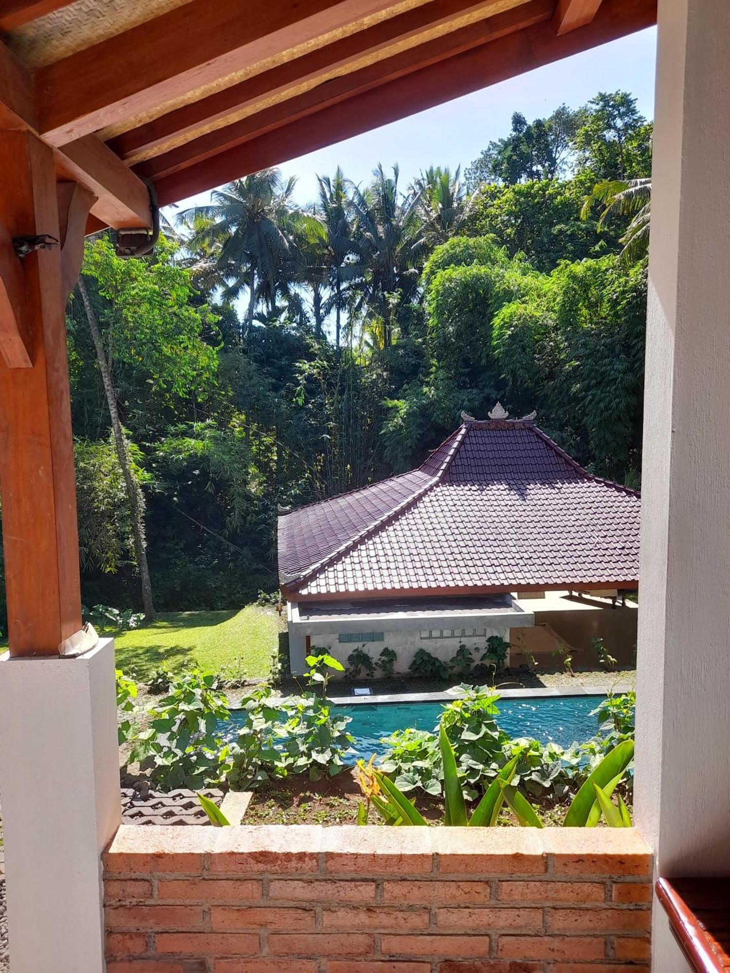 As I Am Ubud Retreat Exterior photo